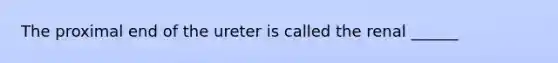 The proximal end of the ureter is called the renal ______