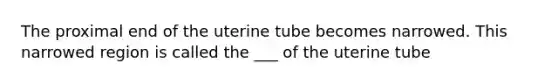 The proximal end of the uterine tube becomes narrowed. This narrowed region is called the ___ of the uterine tube