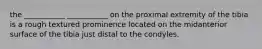 the ___________ ___________ on the proximal extremity of the tibia is a rough textured prominence located on the midanterior surface of the tibia just distal to the condyles.