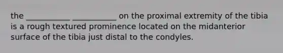 the ___________ ___________ on the proximal extremity of the tibia is a rough textured prominence located on the midanterior surface of the tibia just distal to the condyles.