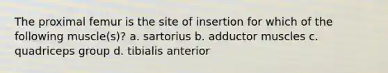 The proximal femur is the site of insertion for which of the following muscle(s)? a. sartorius b. adductor muscles c. quadriceps group d. tibialis anterior