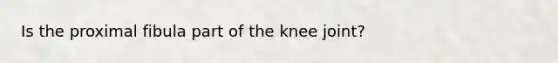 Is the proximal fibula part of the knee joint?