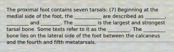 The proximal foot contains seven tarsals: (7) Beginning at the medial side of the foot, the ___________ are described as ________, _________ and ________. The _________ is the largest and strongest tarsal bone. Some texts refer to it as the _________. The _________ bone lies on the lateral side of the foot between the calcaneus and the fourth and fifth metatarsals.