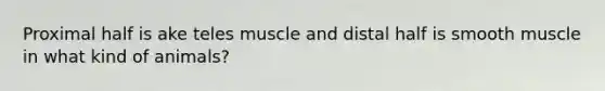 Proximal half is ake teles muscle and distal half is smooth muscle in what kind of animals?