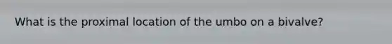 What is the proximal location of the umbo on a bivalve?