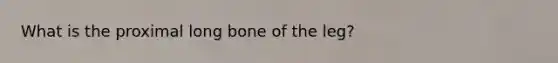 What is the proximal long bone of the leg?