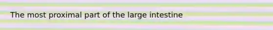 The most proximal part of the <a href='https://www.questionai.com/knowledge/kGQjby07OK-large-intestine' class='anchor-knowledge'>large intestine</a>