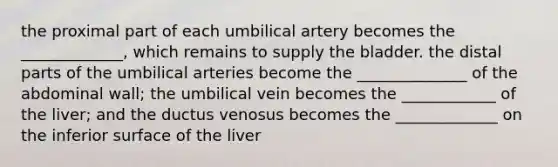 the proximal part of each umbilical artery becomes the _____________, which remains to supply the bladder. the distal parts of the umbilical arteries become the ______________ of the abdominal wall; the umbilical vein becomes the ____________ of the liver; and the ductus venosus becomes the _____________ on the inferior surface of the liver