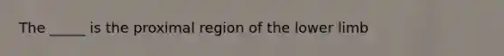 The _____ is the proximal region of the <a href='https://www.questionai.com/knowledge/kF4ILRdZqC-lower-limb' class='anchor-knowledge'>lower limb</a>