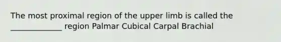 The most proximal region of the upper limb is called the _____________ region Palmar Cubical Carpal Brachial