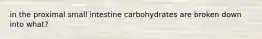 in the proximal small intestine carbohydrates are broken down into what?