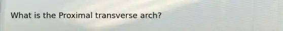 What is the Proximal transverse arch?