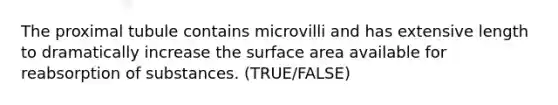 The proximal tubule contains microvilli and has extensive length to dramatically increase the surface area available for reabsorption of substances. (TRUE/FALSE)