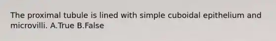 The proximal tubule is lined with simple cuboidal epithelium and microvilli. A.True B.False