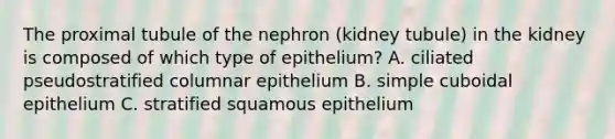 The proximal tubule of the nephron (kidney tubule) in the kidney is composed of which type of epithelium? A. ciliated pseudostratified columnar epithelium B. simple cuboidal epithelium C. stratified squamous epithelium