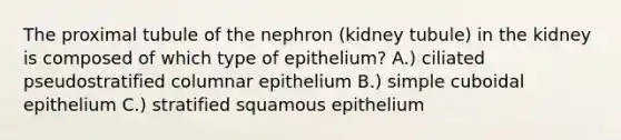 The proximal tubule of the nephron (kidney tubule) in the kidney is composed of which type of epithelium? A.) ciliated pseudostratified columnar epithelium B.) simple cuboidal epithelium C.) stratified squamous epithelium