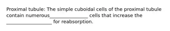 Proximal tubule: The simple cuboidal cells of the proximal tubule contain numerous________________ cells that increase the ___________________ for reabsorption.