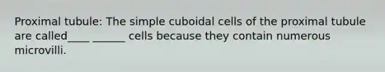 Proximal tubule: The simple cuboidal cells of the proximal tubule are called____ ______ cells because they contain numerous microvilli.