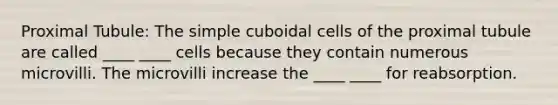 Proximal Tubule: The simple cuboidal cells of the proximal tubule are called ____ ____ cells because they contain numerous microvilli. The microvilli increase the ____ ____ for reabsorption.