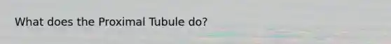 What does the Proximal Tubule do?