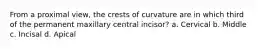 From a proximal view, the crests of curvature are in which third of the permanent maxillary central incisor? a. Cervical b. Middle c. Incisal d. Apical