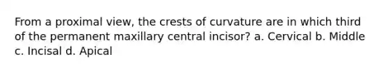 From a proximal view, the crests of curvature are in which third of the permanent maxillary central incisor? a. Cervical b. Middle c. Incisal d. Apical