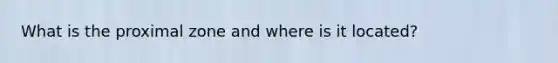 What is the proximal zone and where is it located?