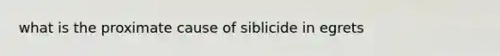 what is the proximate cause of siblicide in egrets