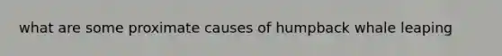 what are some proximate causes of humpback whale leaping