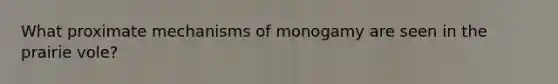 What proximate mechanisms of monogamy are seen in the prairie vole?