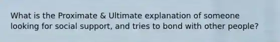 What is the Proximate & Ultimate explanation of someone looking for social support, and tries to bond with other people?