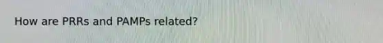 How are PRRs and PAMPs related?