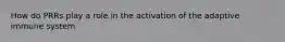 How do PRRs play a role in the activation of the adaptive immune system