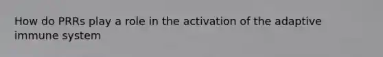 How do PRRs play a role in the activation of the adaptive immune system