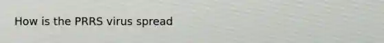 How is the PRRS virus spread