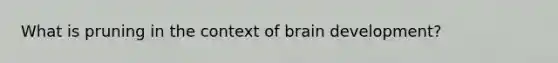 What is pruning in the context of brain development?