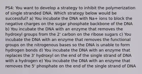 PS4: You want to develop a strategy to inhibit the polymerization of single stranded DNA. Which strategy below would be successful? a) You incubate the DNA with Na+ ions to block the negative charges on the sugar phosphate backbone of the DNA b) You incubate the DNA with an enzyme that removes the hydroxyl groups from the 2' carbon on the ribose sugars c) You incubate the DNA with an enzyme that removes the functional groups on the nitrogenous bases so the DNA is unable to form hydrogen bonds d) You incubate the DNA with an enzyme that replaces the 3' hydroxyl on the end of the single strand of DNA with a hydrogen e) You incubate the DNA with an enzyme that removes the 5' phosphate on the end of the single strand of DNA