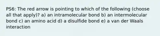 PS6: The red arrow is pointing to which of the following (choose all that apply)? a) an intramolecular bond b) an intermolecular bond c) an amino acid d) a disulfide bond e) a van der Waals interaction