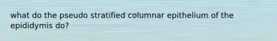 what do the pseudo stratified columnar epithelium of the epididymis do?