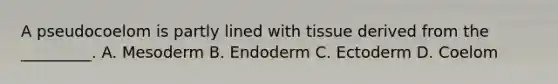 A pseudocoelom is partly lined with tissue derived from the _________. A. Mesoderm B. Endoderm C. Ectoderm D. Coelom