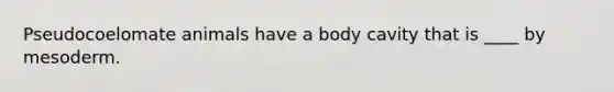 Pseudocoelomate animals have a body cavity that is ____ by mesoderm.