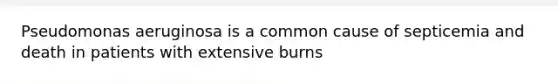 Pseudomonas aeruginosa is a common cause of septicemia and death in patients with extensive burns