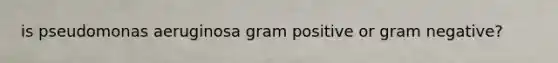 is pseudomonas aeruginosa gram positive or gram negative?