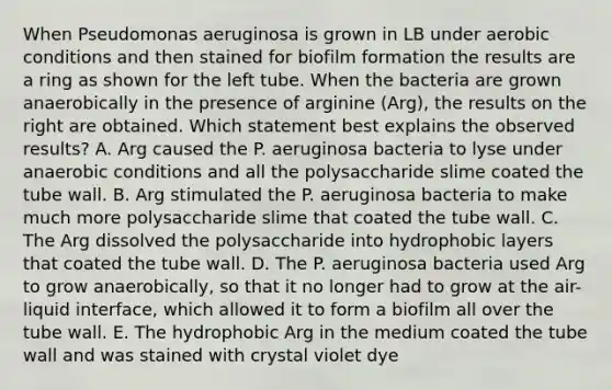 When Pseudomonas aeruginosa is grown in LB under aerobic conditions and then stained for biofilm formation the results are a ring as shown for the left tube. When the bacteria are grown anaerobically in the presence of arginine (Arg), the results on the right are obtained. Which statement best explains the observed results? A. Arg caused the P. aeruginosa bacteria to lyse under anaerobic conditions and all the polysaccharide slime coated the tube wall. B. Arg stimulated the P. aeruginosa bacteria to make much more polysaccharide slime that coated the tube wall. C. The Arg dissolved the polysaccharide into hydrophobic layers that coated the tube wall. D. The P. aeruginosa bacteria used Arg to grow anaerobically, so that it no longer had to grow at the air-liquid interface, which allowed it to form a biofilm all over the tube wall. E. The hydrophobic Arg in the medium coated the tube wall and was stained with crystal violet dye