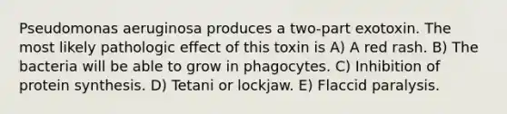 Pseudomonas aeruginosa produces a two-part exotoxin. The most likely pathologic effect of this toxin is A) A red rash. B) The bacteria will be able to grow in phagocytes. C) Inhibition of protein synthesis. D) Tetani or lockjaw. E) Flaccid paralysis.