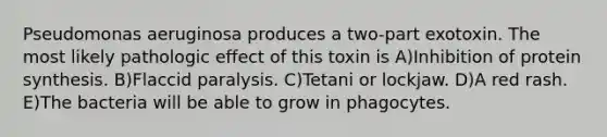 Pseudomonas aeruginosa produces a two-part exotoxin. The most likely pathologic effect of this toxin is A)Inhibition of protein synthesis. B)Flaccid paralysis. C)Tetani or lockjaw. D)A red rash. E)The bacteria will be able to grow in phagocytes.