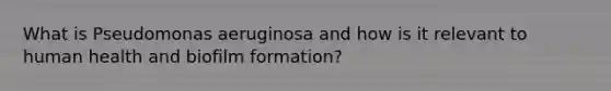 What is Pseudomonas aeruginosa and how is it relevant to human health and biofilm formation?