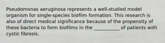 Pseudomonas aeruginosa represents a well-studied model organism for single-species biofilm formation. This research is also of direct medical significance because of the propensity of these bacteria to form biofilms in the ___________ of patients with cystic fibrosis.