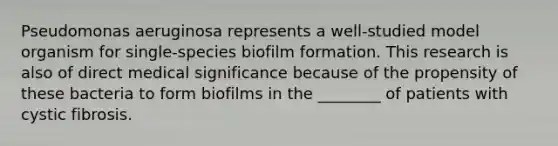 Pseudomonas aeruginosa represents a well-studied model organism for single-species biofilm formation. This research is also of direct medical significance because of the propensity of these bacteria to form biofilms in the ________ of patients with cystic fibrosis.