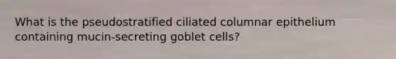 What is the pseudostratified ciliated columnar epithelium containing mucin-secreting goblet cells?